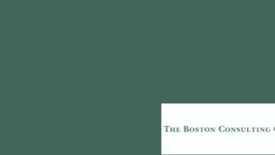 Winning Cultures-The Boston Consulting Group 